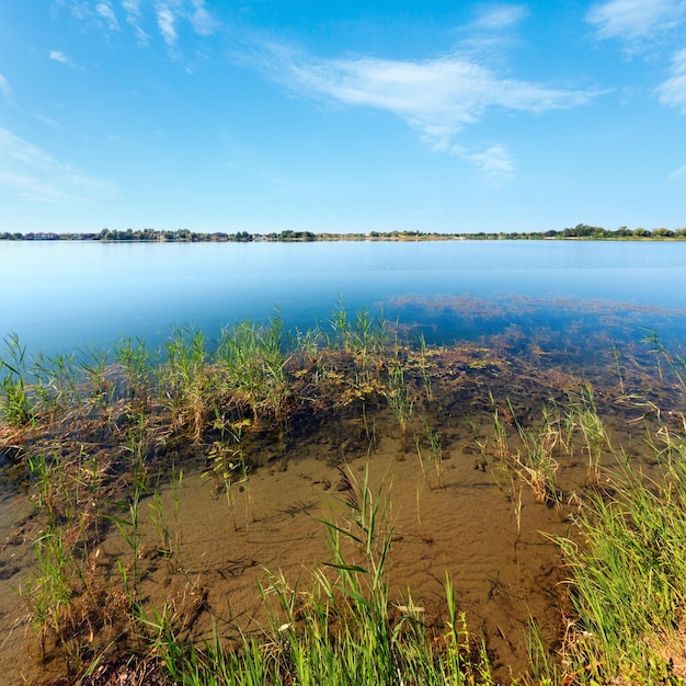 Summer lake calm rushy shore