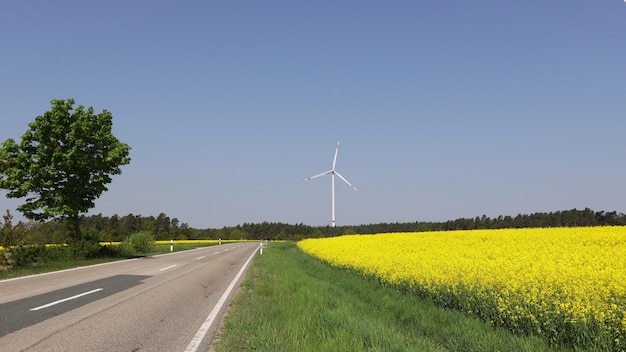 A summer landscape against the backdrop of windmills