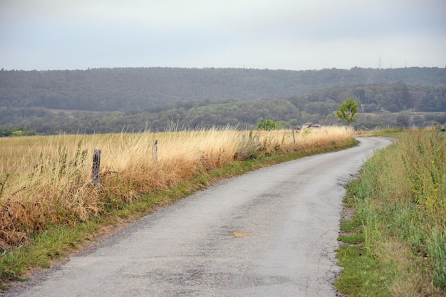 Summer landscape of the Belgium Ardennes