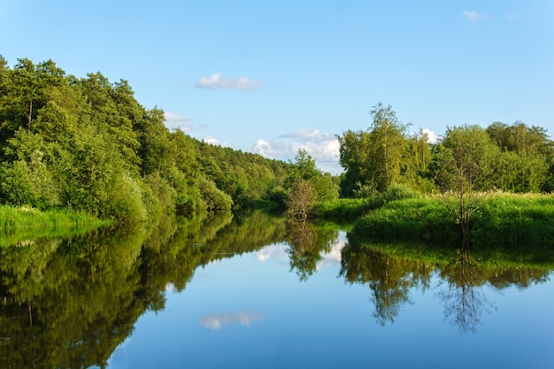 Summer landscape of a calm oxbow lake in floodplain with wooded shores