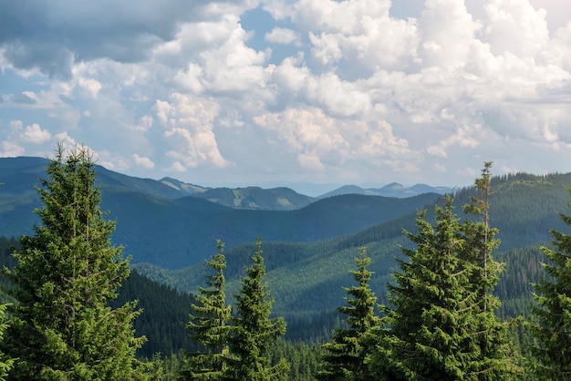 Summer landscape in the Carpathian mountains. View from the mountain peak Hoverla. Ukrainian mountain Carpathian Hoverla, view from the top.