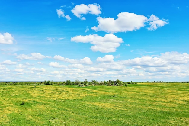 summer landscape field top view drone, abstract landscape view in flight