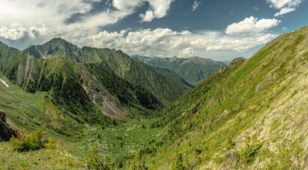 Summer landscape of a green mountain valley The beauty of the Alpine Caucasian mountains