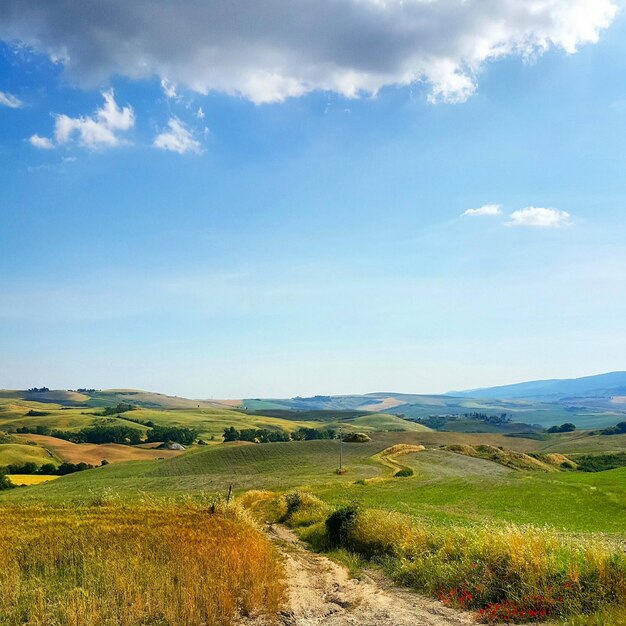 Summer Landscape Green Mountains