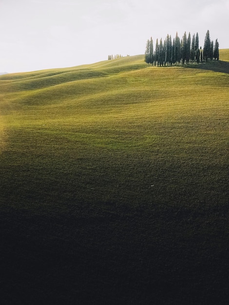 Summer Landscape Green Mountains