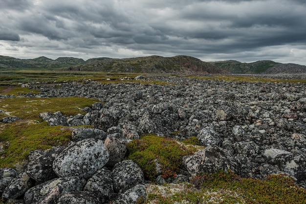 Summer landscape of the green polar tundra in the vicinity Teriberka