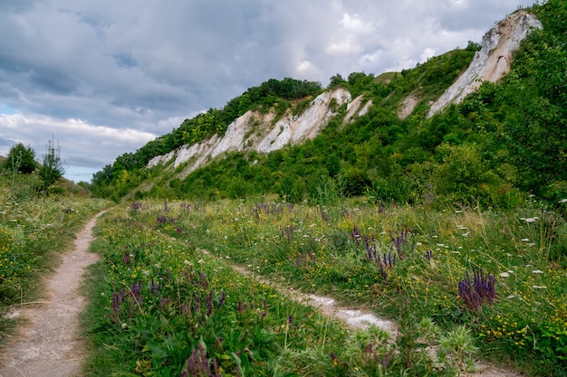 Summer landscape of hilly highlands with green meadows