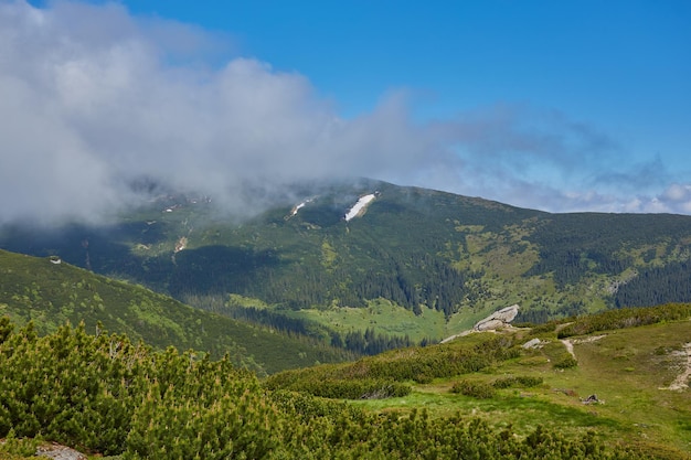 Summer landscape in mountains and the dark blue sky