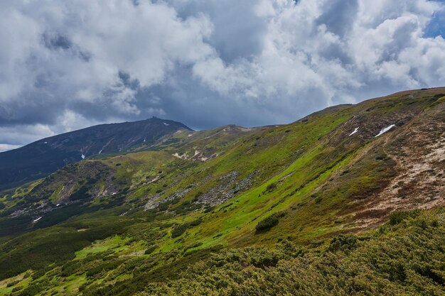 Summer landscape in mountains and the dark blue sky