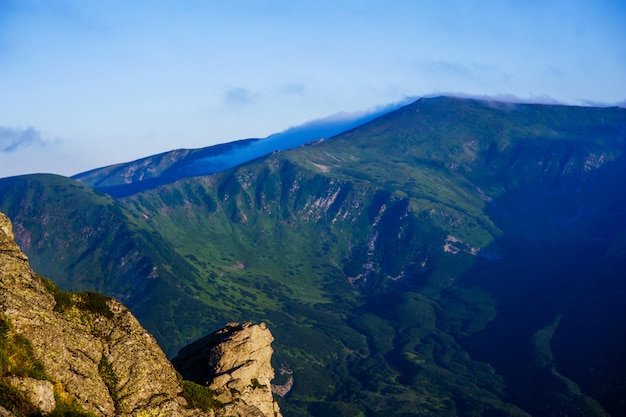 Summer landscape in the mountains