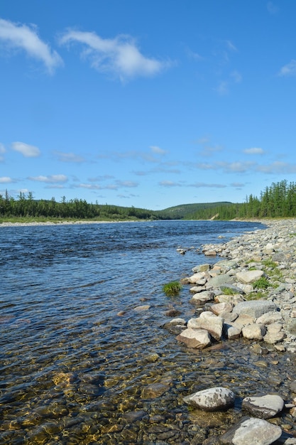 Summer landscape of the North river