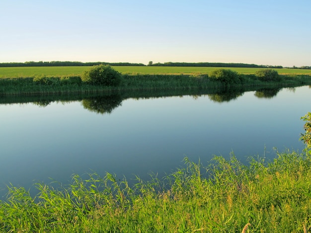 Summer landscape. Small river.