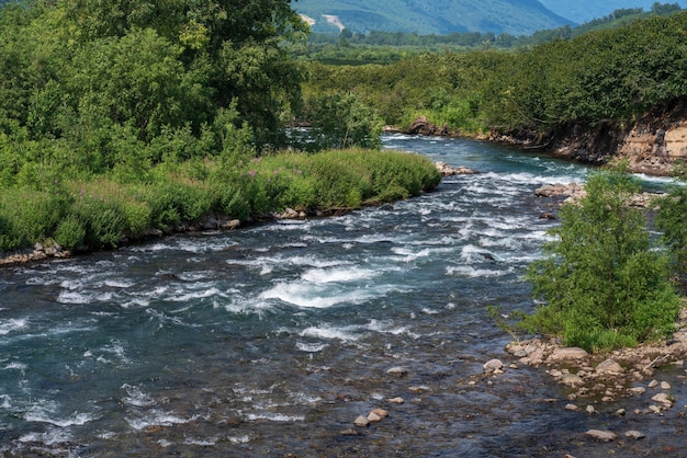 summer landscape of stream clear water of mountain river and green forest on riverbank on sunny day