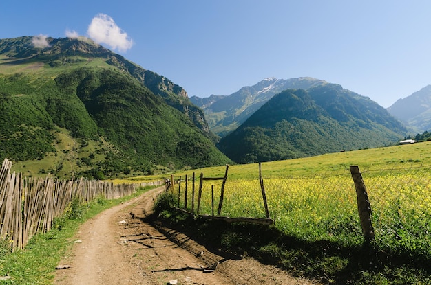 Summer landscape in sunny weather. The road in a mountain village. Wooden fence and green meadows. Zhabeshi, Zemo Svaneti, Georgia, Caucasus