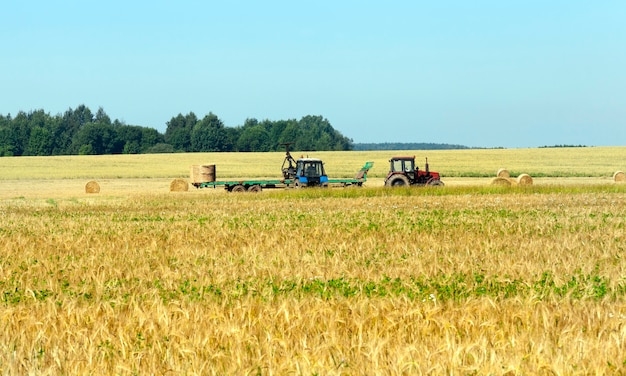 Summer landscape with blue sky. Agricultural machinery during harvesting and loading of gold bales and straw stacks onto the tractor for delivery to the farm.