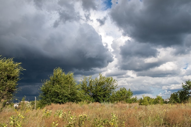 Summer landscape with field and trees at dramatic cloudy blue sky