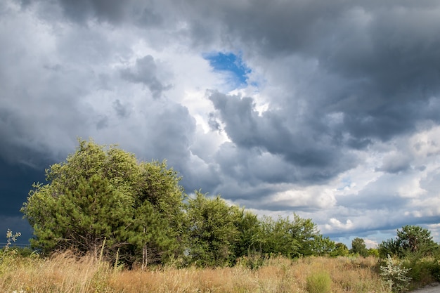 Summer landscape with field and trees at dramatic cloudy blue sky