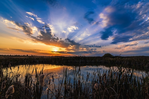 Summer landscape with the reflection of sunset and sun rays in the water of the pond