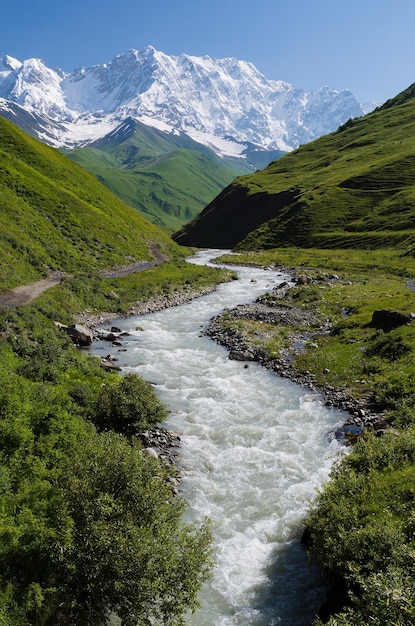 Summer landscape with river and  snowy mountain. Peak Shkhara Zemo Svaneti, Georgia. The main Caucasian ridge