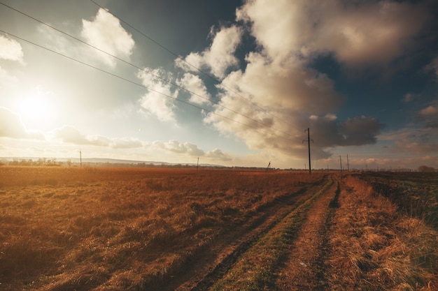 Summer Landscape