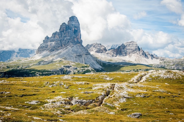 summer landscape