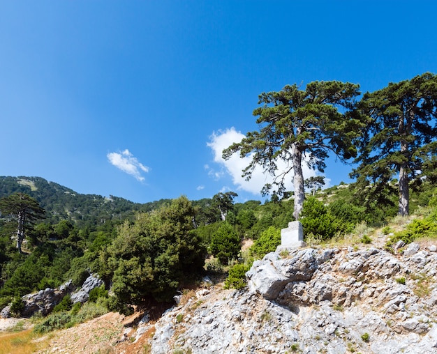 Summer  Llogara pass view with pine trees on mountainside (Albania)