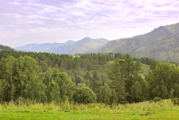 Summer meadow on the background of high mountains under a blue cloudy sky Siberia Russia