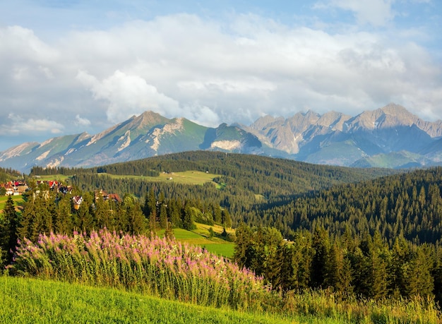 Photo summer mountain country view