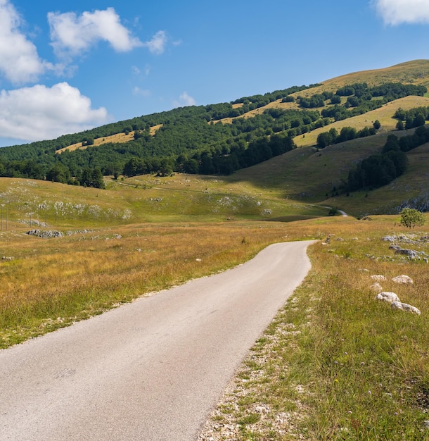 Summer mountain Durmitor National Park Montenegro