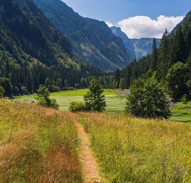 Summer mountain Durmitor National Park Montenegro