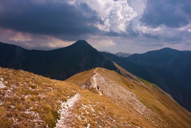 Summer mountain landscape beautiful nature in Italy