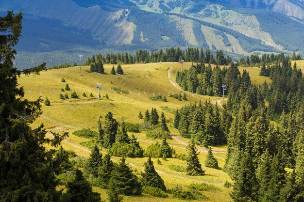 Summer mountain landscape high in the mountains Tall trees of Christmas trees ski lift at the ski base