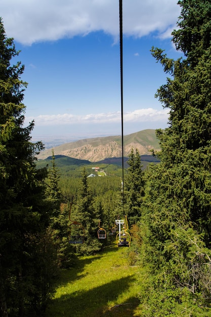 Summer mountain landscape high in the mountains Tall trees of Christmas trees ski lift at the ski base