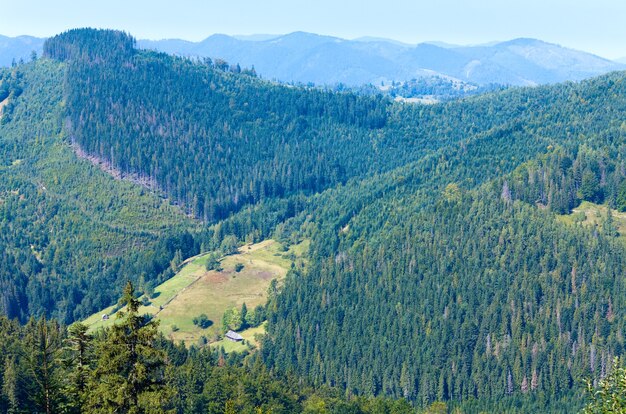 Summer mountain landscape with fir forest on slope