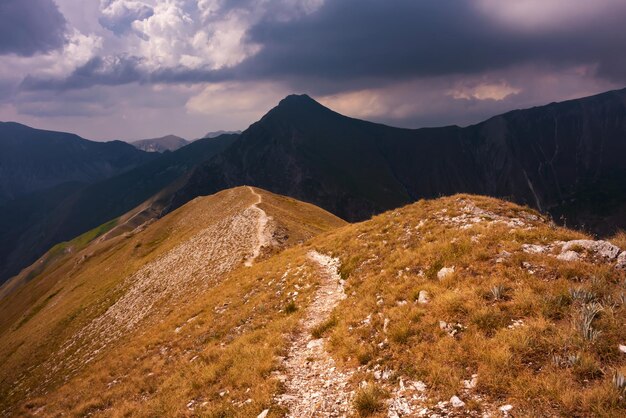 Summer mountain landscape with a trail beautiful nature