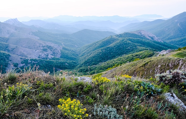 Summer mountain landscape