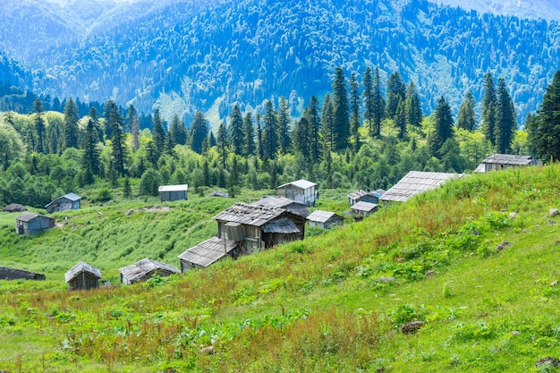 Summer Mountain Plateau Highland with Gorgit, Artvin, Turkey