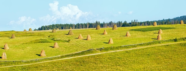 Summer mountain rural panorama with haystacks Carpathian Ukraine