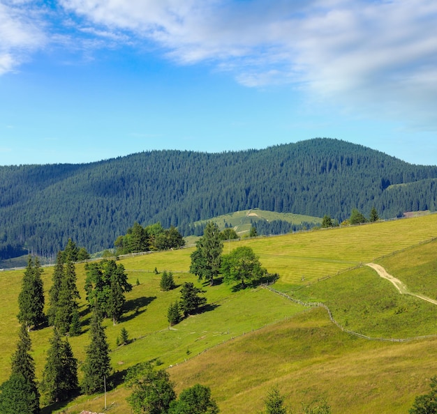 Summer mountain view Carpathian Ukraine