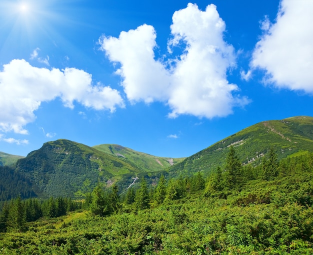 Summer mountain view with conifer forest