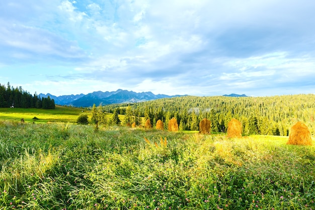 Summer mountain village outskirts with haystacks and Tatra range behind (Poland)