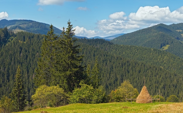 Summer mountainous green meadow with stack of hay