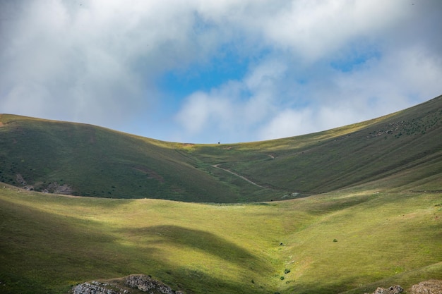 Summer mountains green grass and blue sky landscape