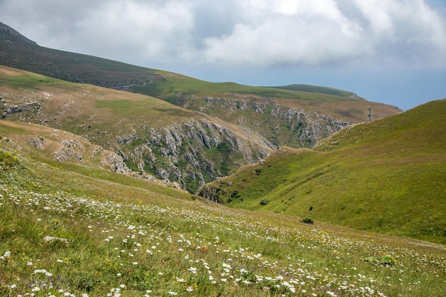 Summer mountains green grass and blue sky landscape