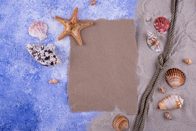 Summer nautical marine background with shell