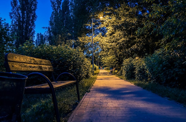 Summer night city park Wooden benches street lights and green trees The tiled road in the night park