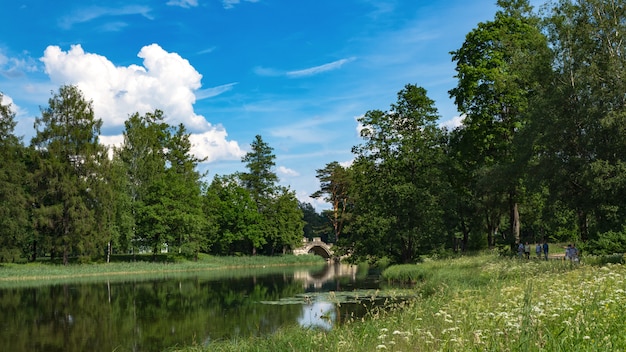 Summer panoramic landscape on the lake. Amazing summer lake landscape. Wonderful lake with reflection of trees. White clouds in a blue sky.