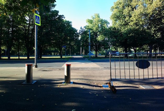 Summer park is blocked landscape backdrop