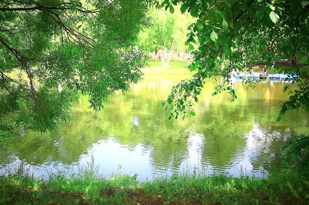 summer park landscape, green trees and walkway in the summer city park