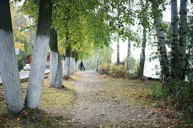 summer park landscape / seasonal view, green trees in summer, concept nature walk, ecology, eco